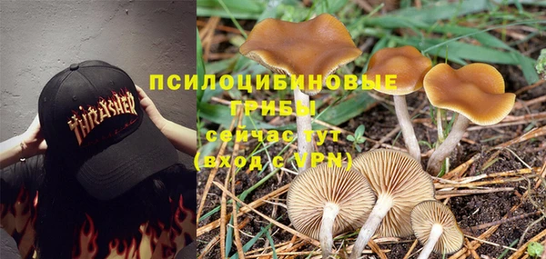 PSILOCYBIN Кулебаки