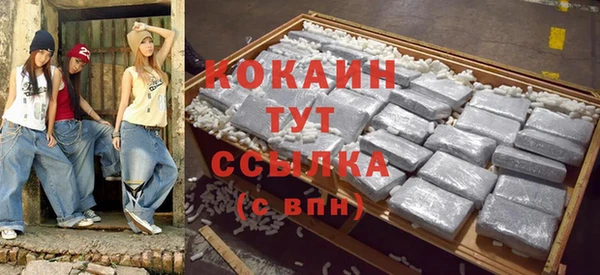 PSILOCYBIN Кулебаки