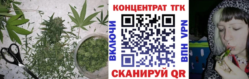 Купить закладки  Кумертау  ТГК Wax 